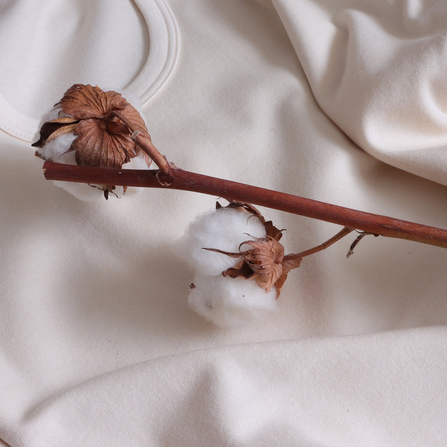 スムースニット長袖Tシャツ (Creem White)